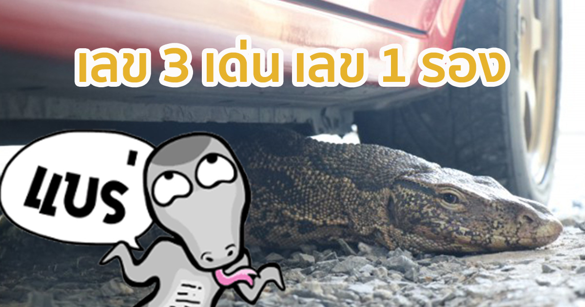 ตัวเงินตัวทองยักษ์