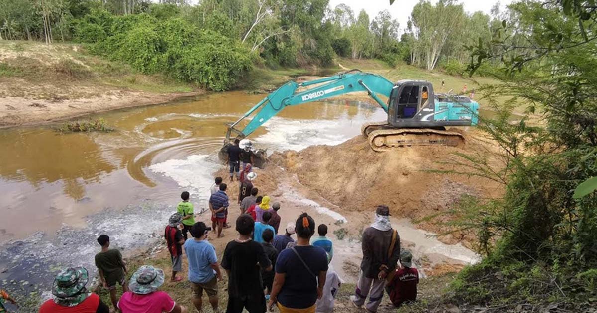 ต้นตะเคียน