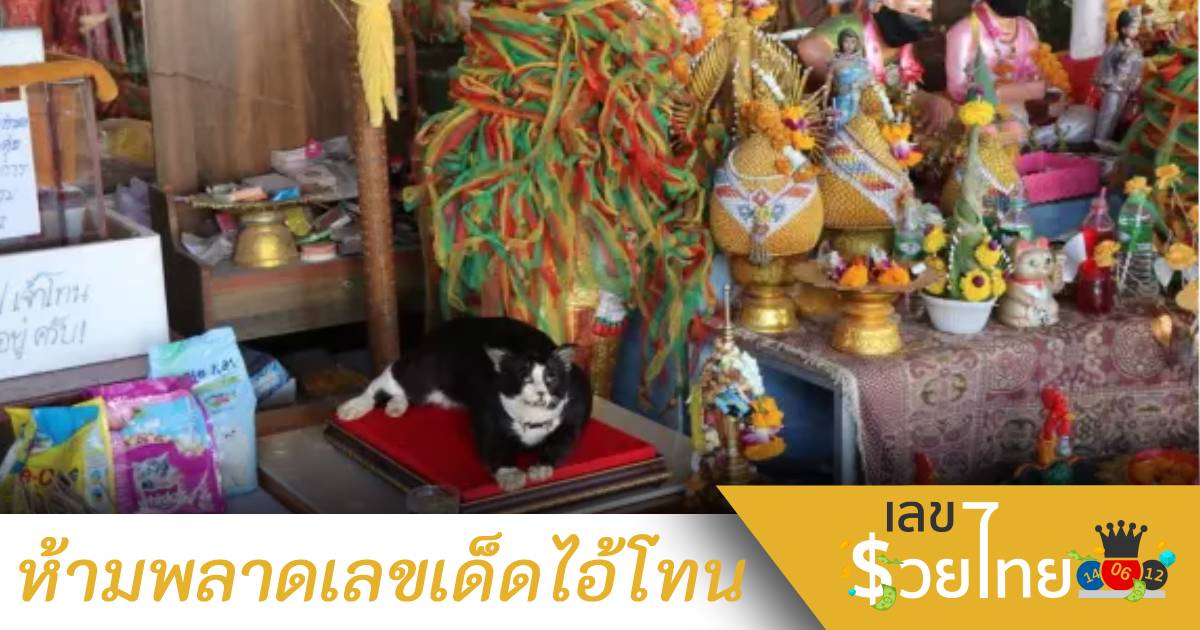 ตำนานมีลมหายใจ คอหวยแห่ขอเลขเด็ด “ไอ้โทน” วันโคกมะรุม