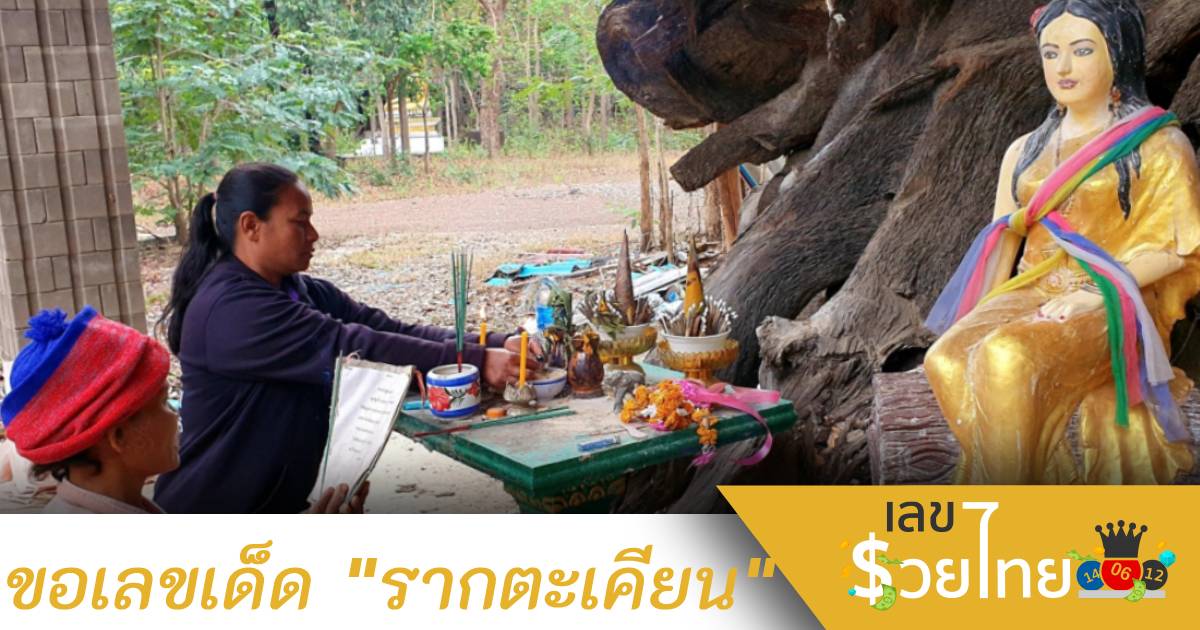 ชาวบ้านแห่ขอ”เลขเด็ด”รากตะเคียนอายุหลายร้อยปี ลุ้นรวย 1 มี.ค. 65