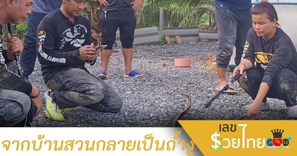 เจ้าของบ้านผวา! จากบ้านสวนเกือบกลายเป็นถ้ำงูเห่า