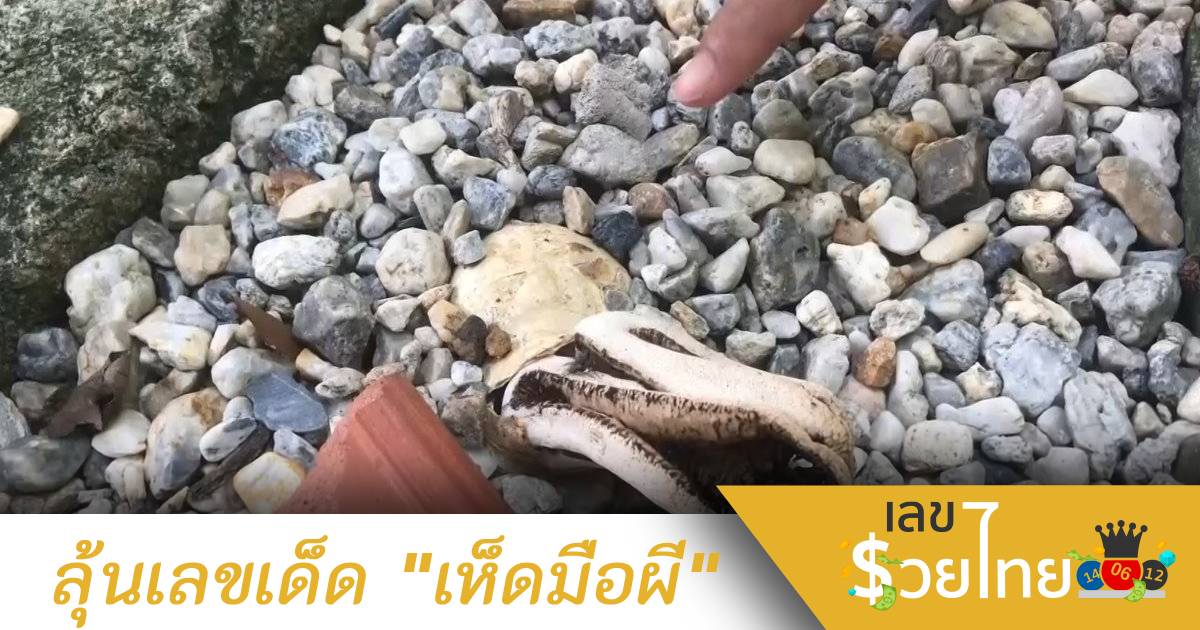 สาวใหญ่ เดินตามกลิ่นศพเจอ “เห็ดมือผี” ไม่พลาดขอเลขเด็ด