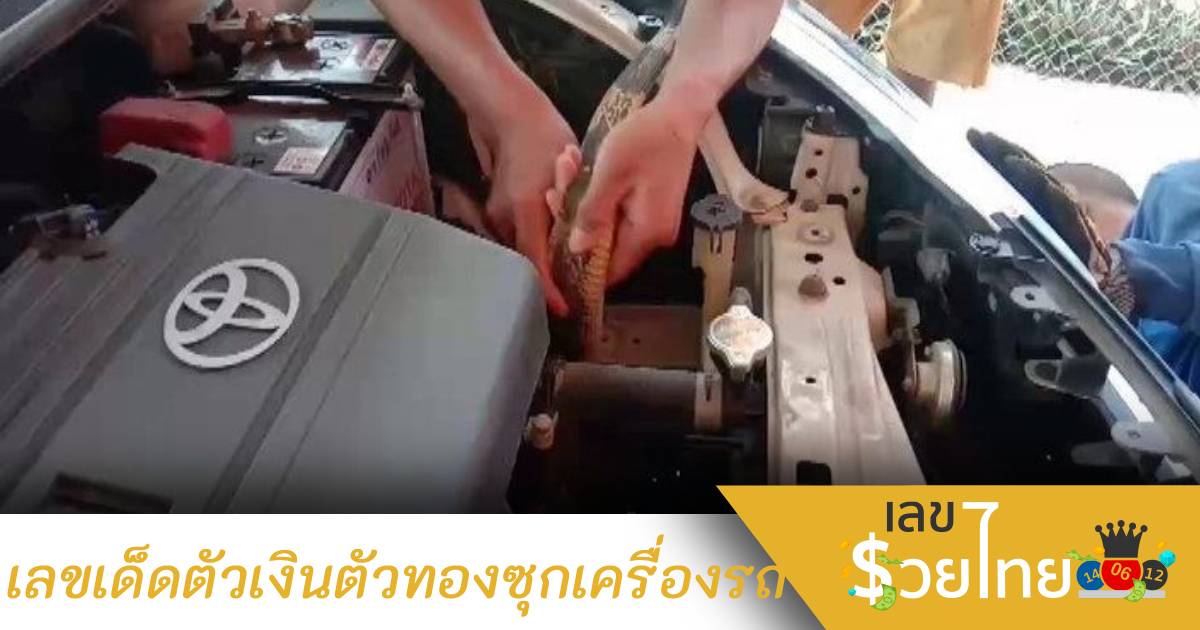 ลุ้นเลขเด็ดตัวเงินตัวทองซุกท้องเครื่องรถ คอหวยไม่พลาดจดเลข