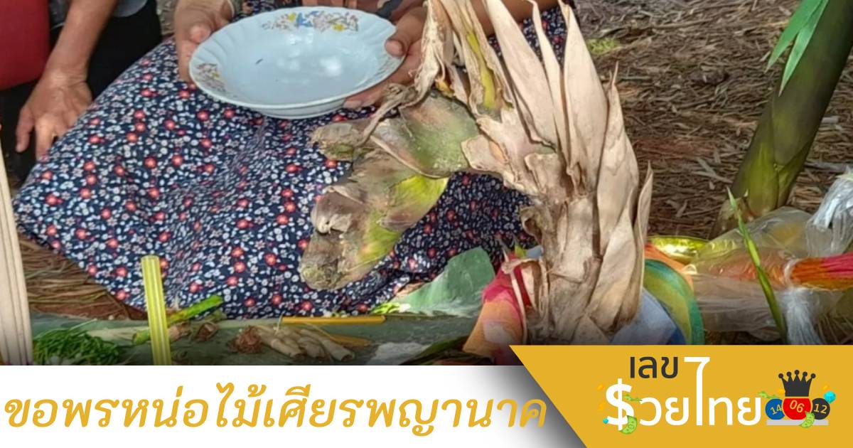 คอหวยจุดธูปมงคลเห็นแล้วขนลุก ขอพรหน่อไม้เศียรพญานาค