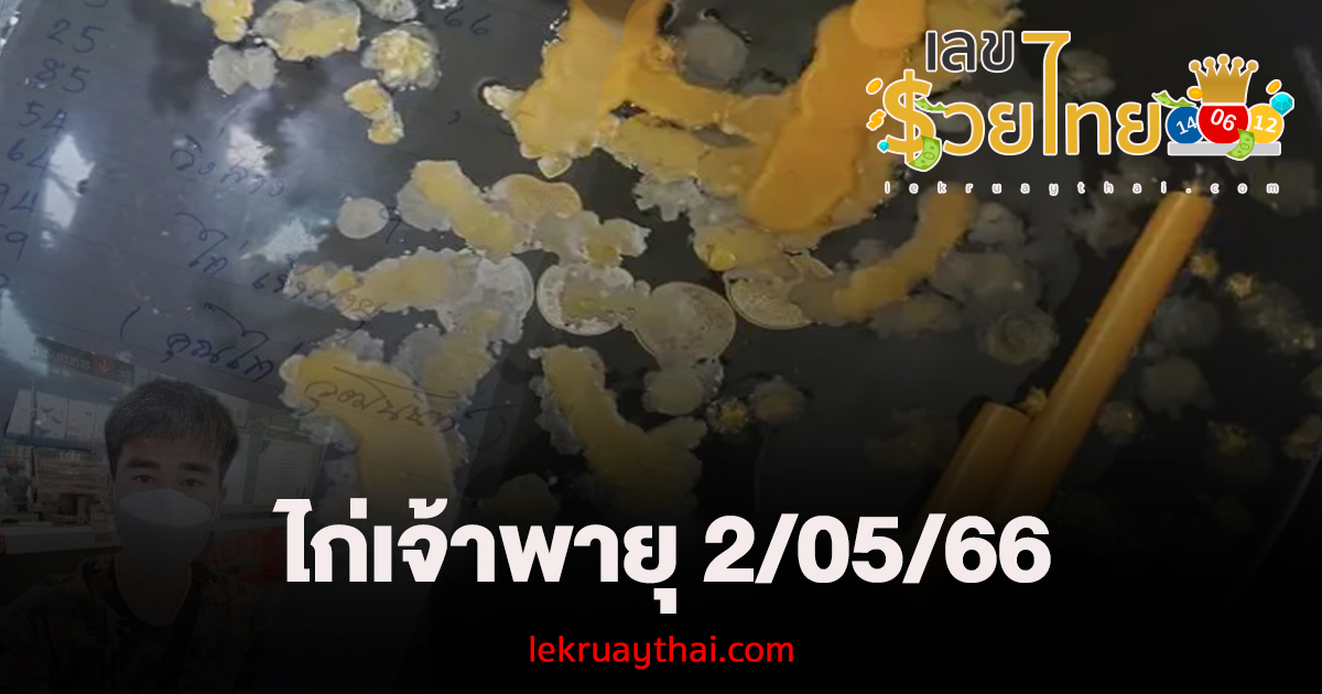 เลขเด็ด ไก่เจ้าพายุ 2/05/66 คอหวยแห่ส่อง เลขเด่น – เลขรอง – lekruaythai