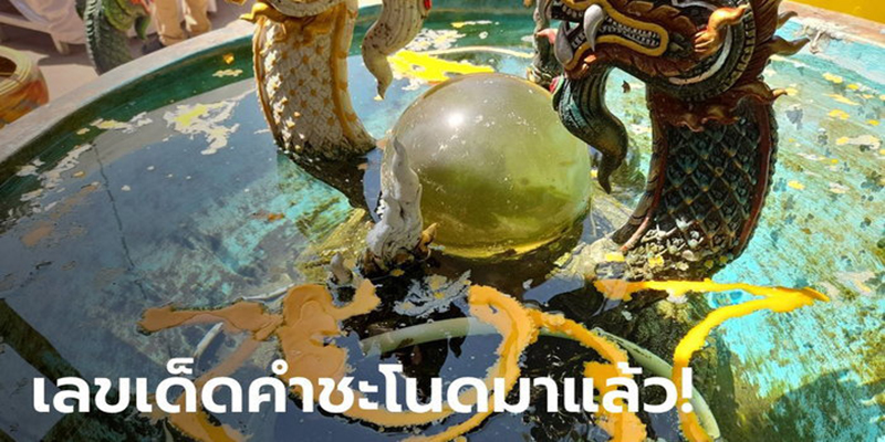 เลขคำชะโนดใบเขียว