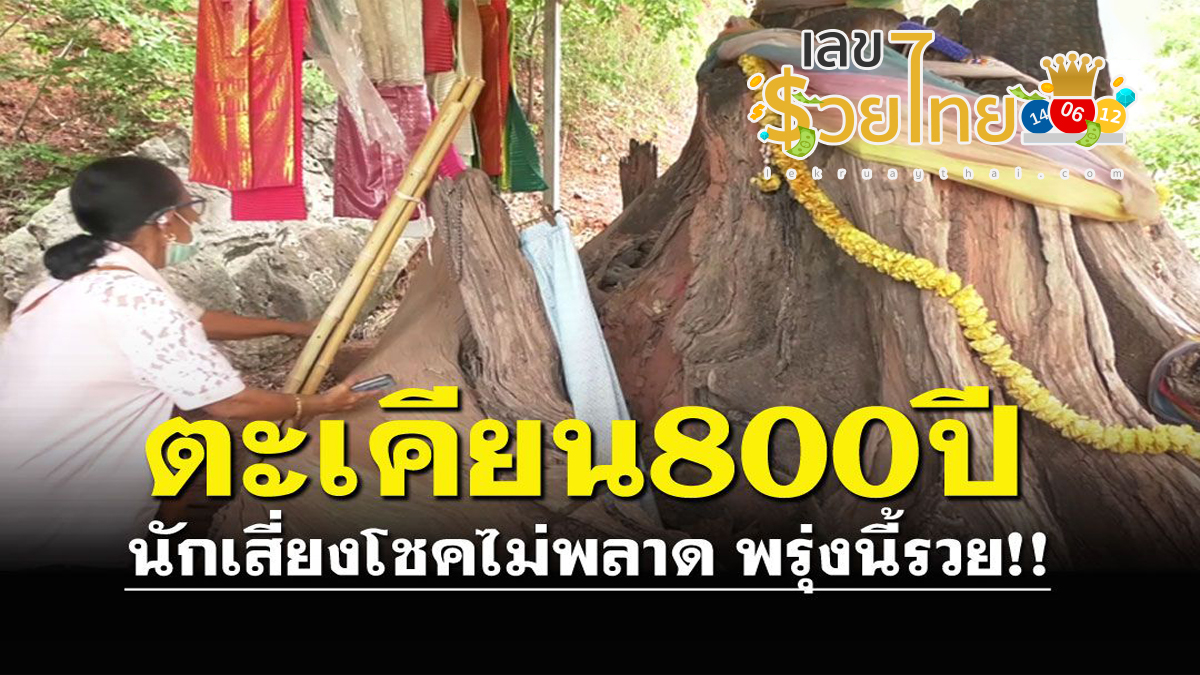 เจ้าแม่ตะเคียน เลขเด็ดจากเจ้าแม่ แม่นๆ ลุ้นแทงหวยงวดนี้ ไปดูกันเลย !