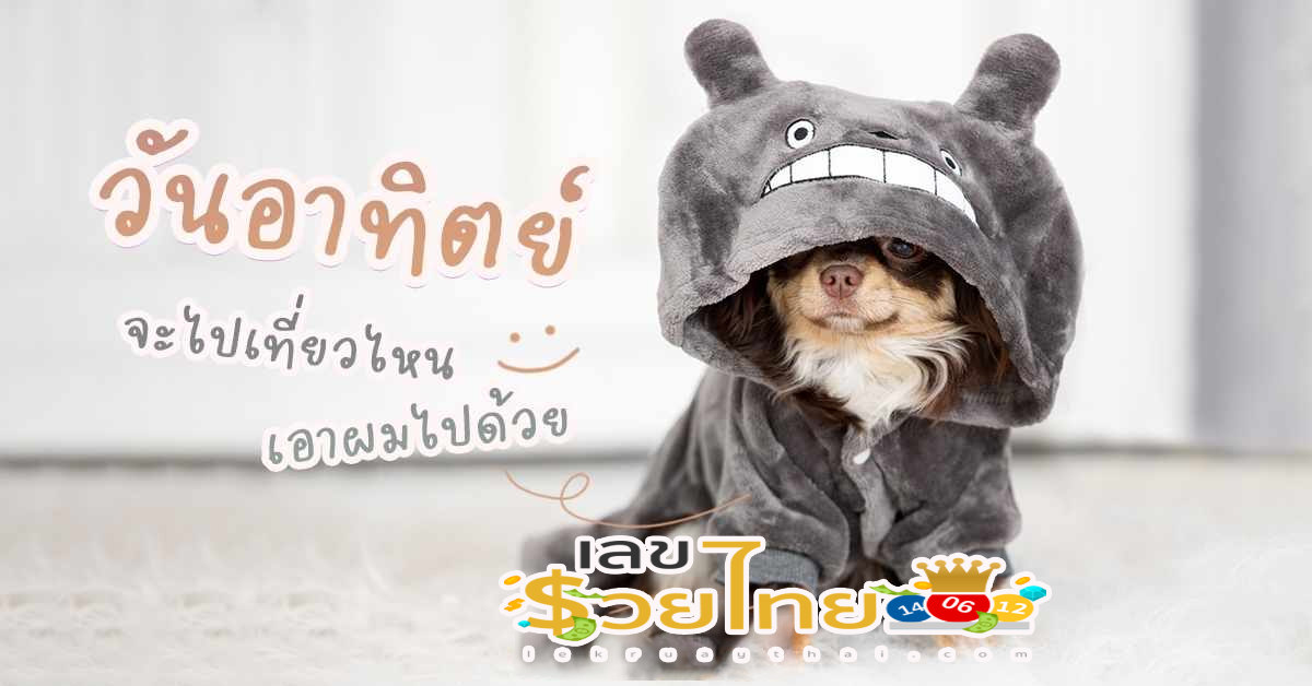 ดูดวงประจำวัน 30/4/66