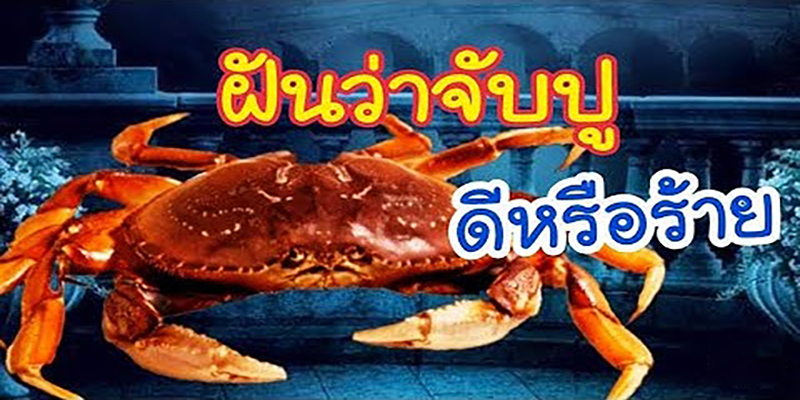 ฝันว่าได้จับปู