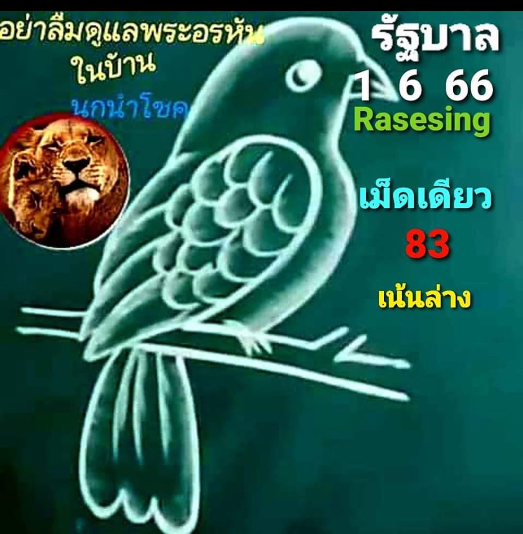  ฝันว่าได้จับนก เลขเด็ด
