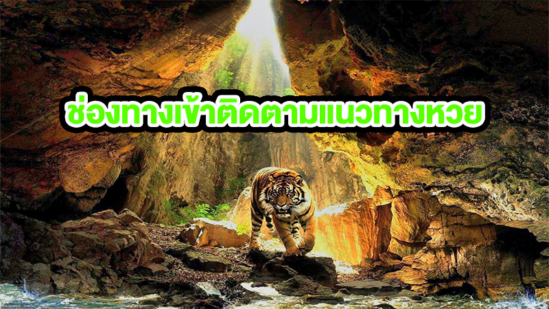 เลขเด็ดเสือตกถังพลังเงินดี คือ 