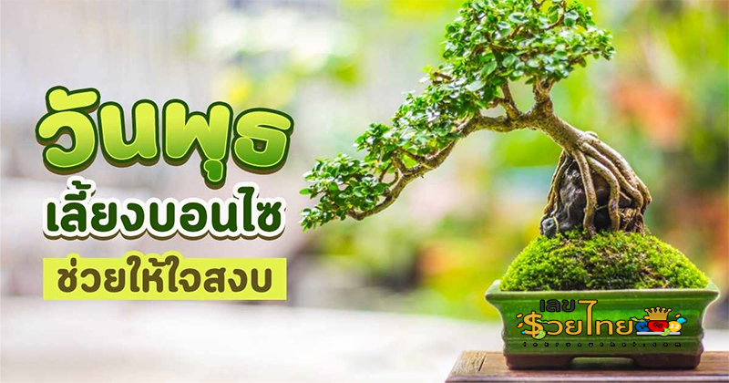 ดูดวงวันนี้ 27 พฤษภาคม 2566