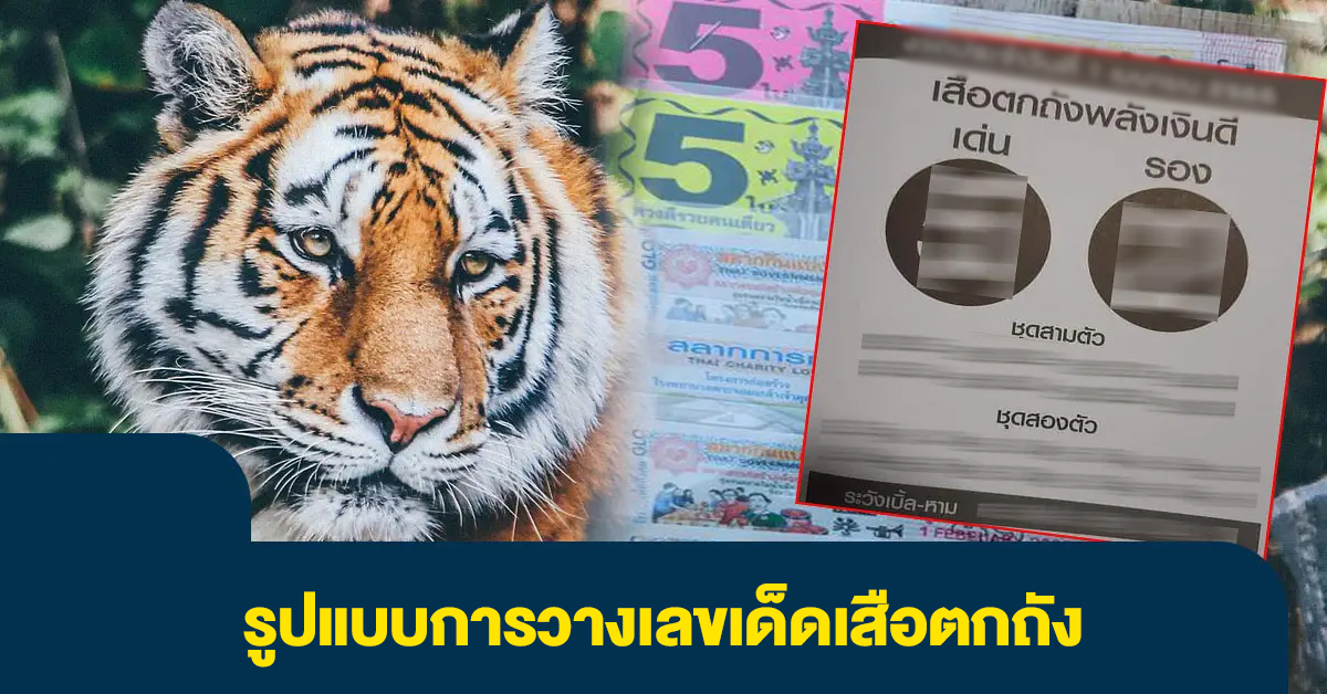 เลขเด็ดเสือตกถังพลังเงินดี คือ 