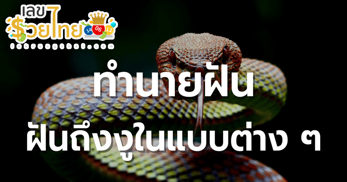 ทำนายฝันแม่นๆ “ฝันว่าโดนงูกัด” พร้อมความหมาย และเลขเด็ดนำโชค