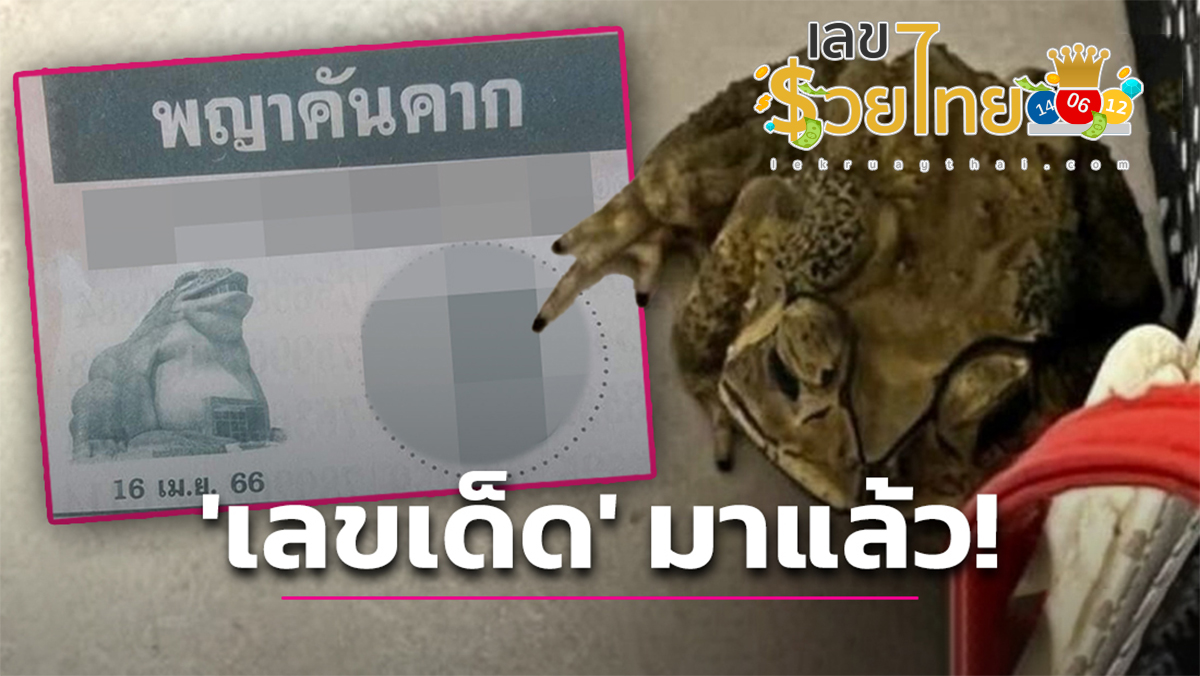 เลขพญาคันคาก 16 มิถุนายน 2566 อัพเดทแนวทางเลขเด็ดล่าสุดก่อนใคร ได้เลยที่นี่!!