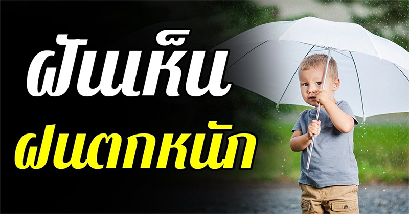 ฝันว่าฝนตกหนัก