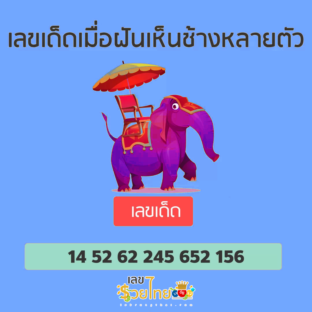 ฝันเห็นช้างหลายตัว