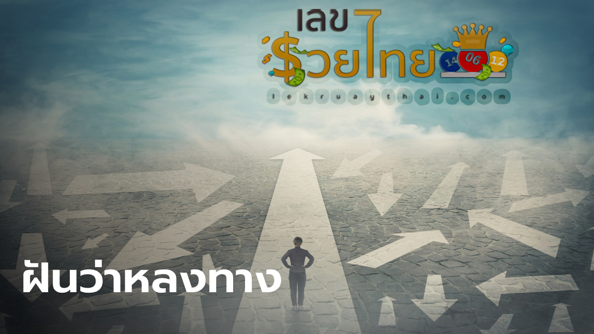 ฝันว่าหลงทาง หลงป่าหาทางออกไม่เจอ หมายถึงอะไร ทำนายฝัน พร้อมเลขเด็ดงวดนี้