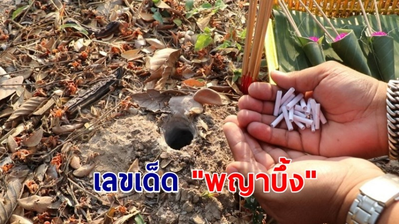 พญาบึ้งคืออะไร