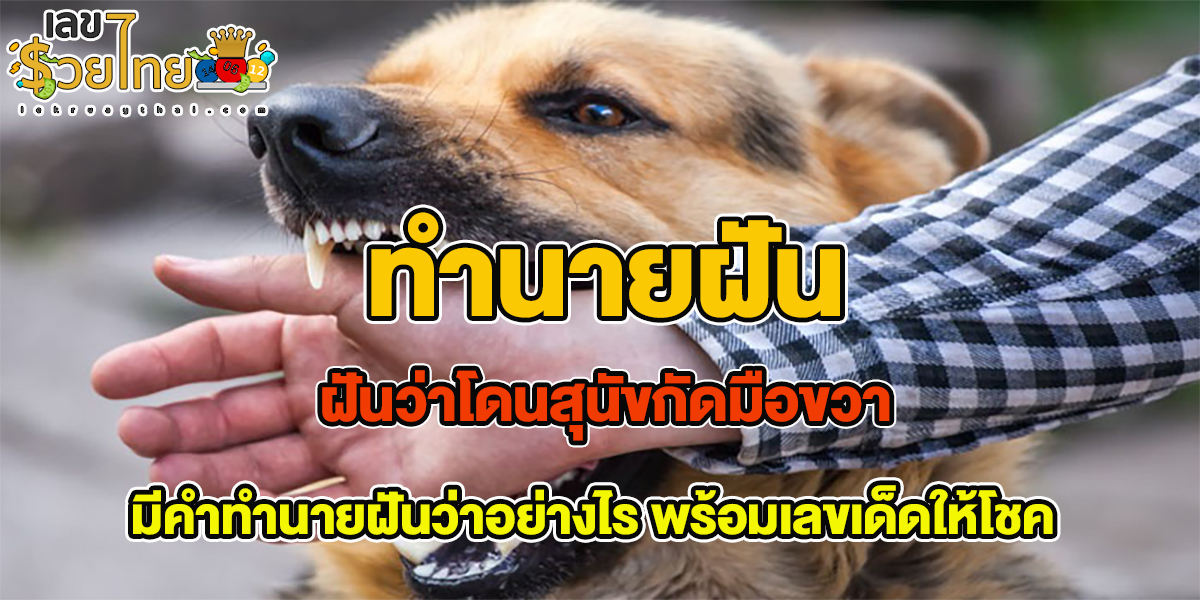 ฝันว่าโดนสุนัขกัดมือขวา  มีคำทำนายฝันว่าอย่างไร พร้อมเลขเด็ดให้โชค