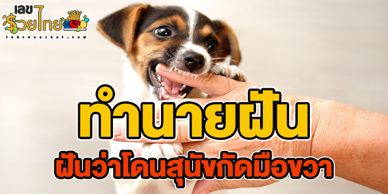 ฝันว่าโดนสุนัขกัดมือขวา