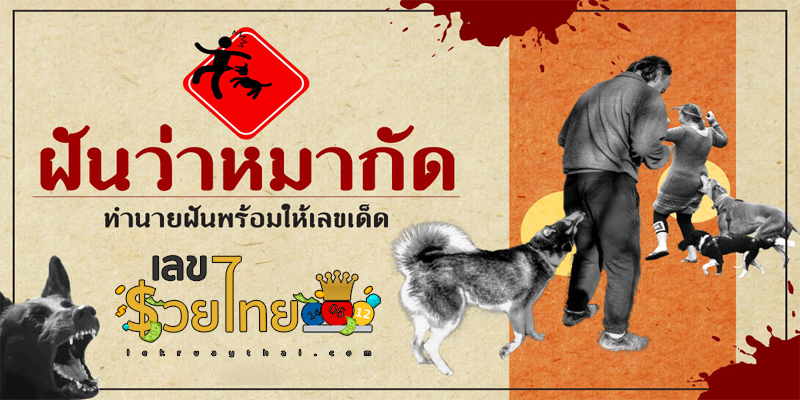 ฝันว่าโดนสุนัขกัดขาขวา