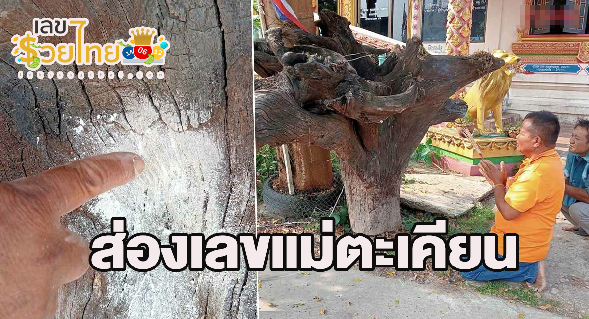 แม่ตะเคียน ชาวบ้านมาขอโชค “เจ้าแม่ตะเคียน” แน่นวัด ไม่ผิดหวังได้ “เลขเด็ด” ลุ้นโชค