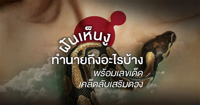ฝันเห็นงู 
