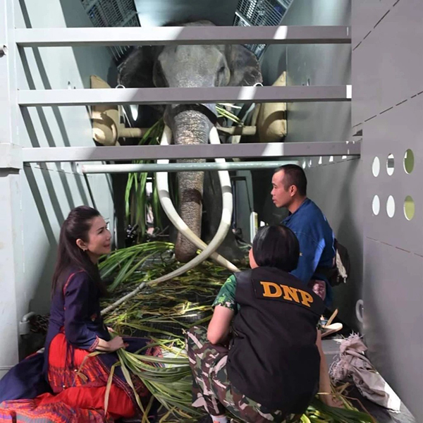 พลายศักดิ์สุรินทร์ กลับไทย