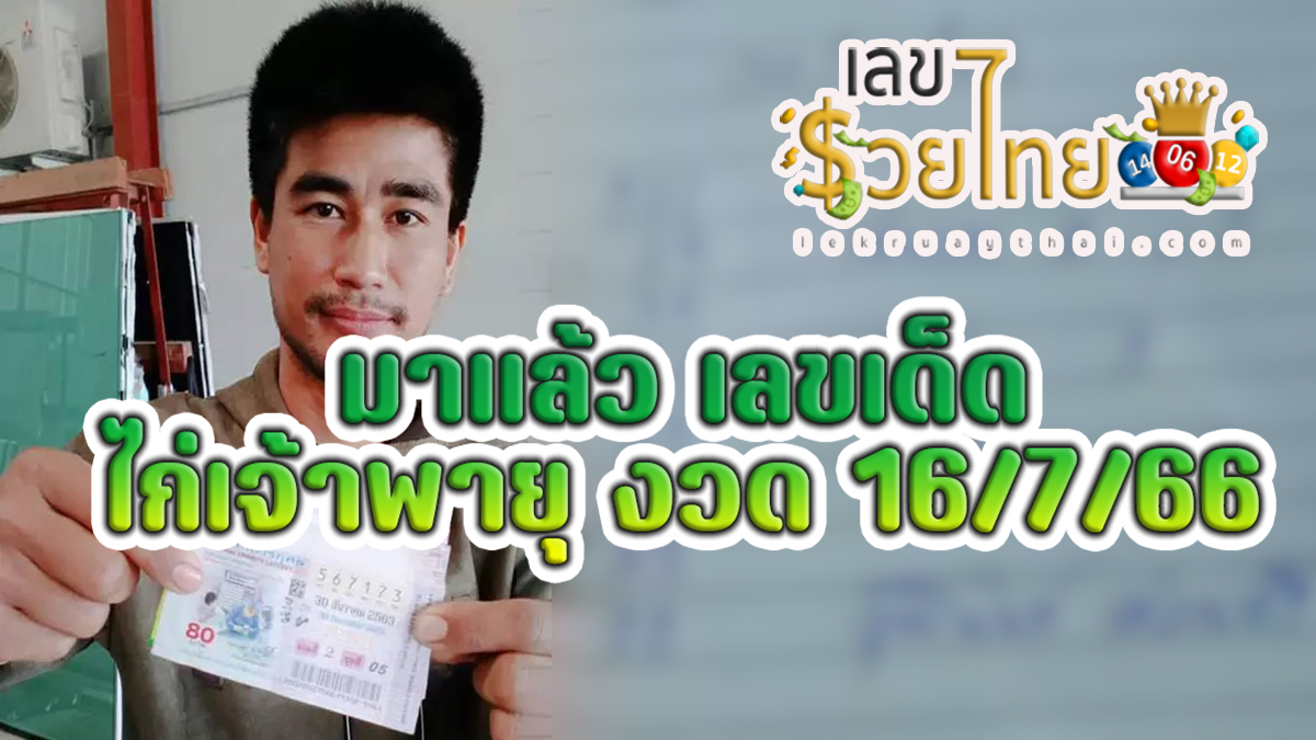 มาแล้ว เลขเด็ด ไก่เจ้าพายุ 16/7/66 คอหวยไม่ควรพลาดส่องเลขเด็ด 2ตัว 3ตัว แนวทางแม่นๆรีบจดเลย!!