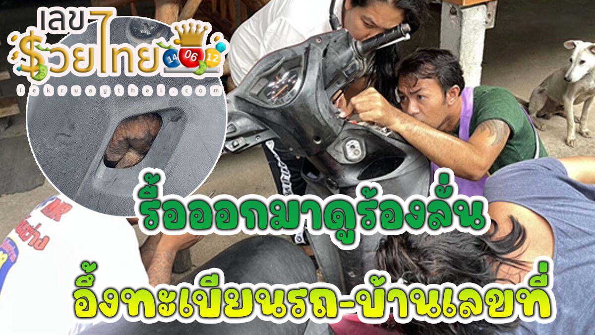 แห่ส่องเลขเด็ด หนุ่มผงะบางอย่างคล้ายงูอยู่ในคอนโซลรถ ฝืนใจขับถึงบ้าน รื้อรถออกมาดูกรี๊ดลั่น ส่องเลขเด็ด ทะเบียนรถ-บ้านเลขที่