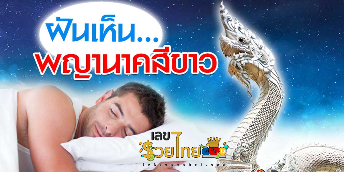 ฝันเห็นพญานาคสีขาว  อ่านคำทำนายฝันพร้อมดูเลขเด็ด พร้อมกันเลยที่นี่