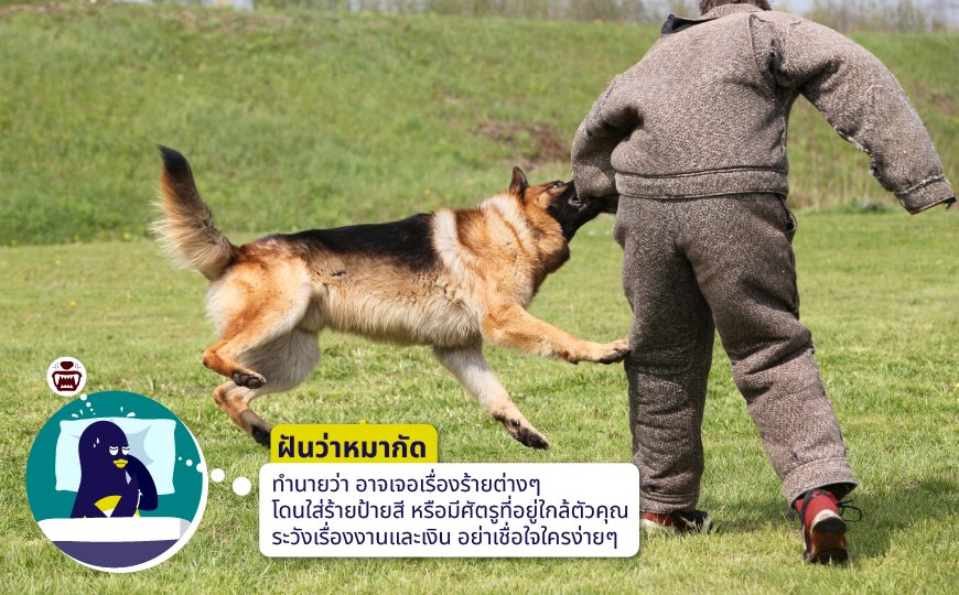 ฝันว่าหมาวิ่งไล่กัด