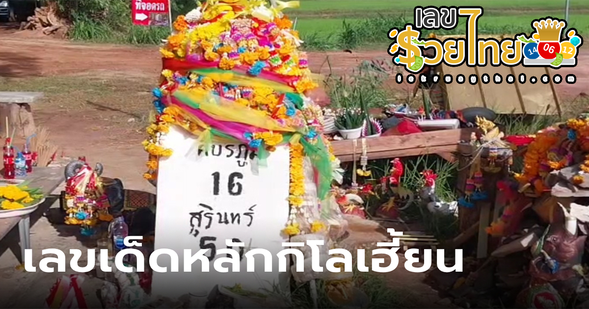 เลขหลักกิโล 31/07/66 เลขเด็ดหลักกิโลเฮี้ยน เข้าทุกงวด คอหวยแห่เข้าไปแกะเลขเด็ดจากหลักกิโล