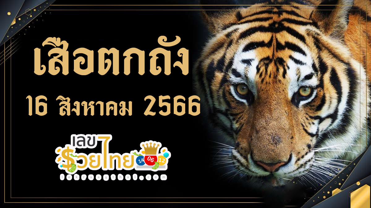 แนวทางเลขเด็ดเสือตกถัง 16 สิงหาคม 2566 ปล่อยเต็ม!2ตัวตรง/สามตัวตรง ไม่มีกั๊ก
