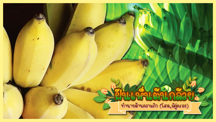 
ฝันเห็นต้นกล้วยและเครือกล้วย