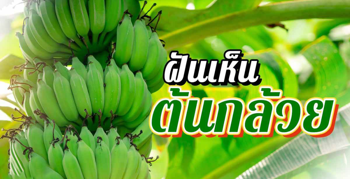 ฝันเห็นต้นกล้วยออกลูก