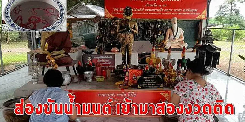  ตาไข่ไม่ชอบอะไร