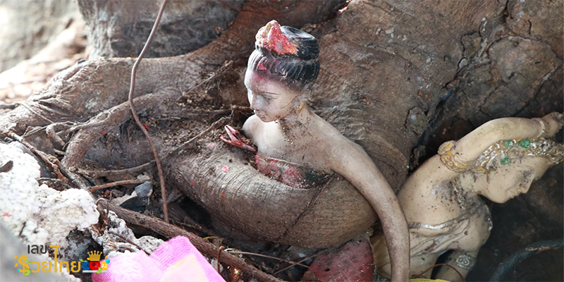 รูปปั้นหญิงสาวโผล่กลางโคนต้นโพธิ์