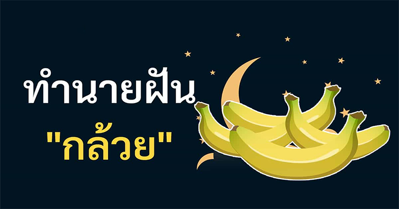 ฝันเห็นต้นกล้วยและเครือกล้วย เลขเด็ด