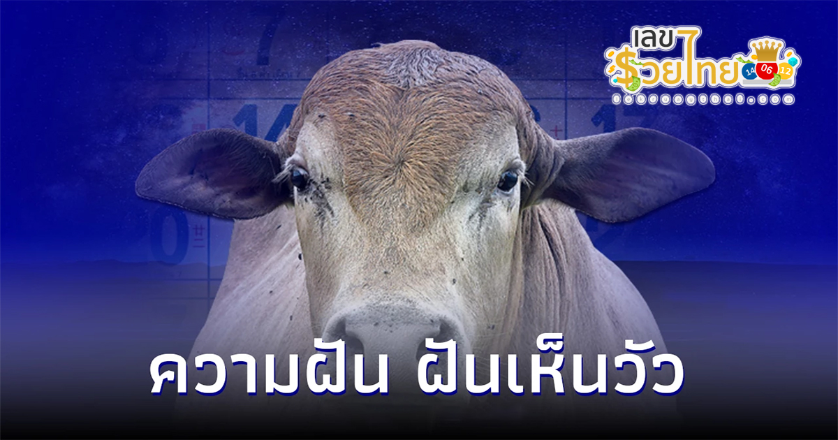ฝันเห็นวัวตัวใหญ่สีขาว1ตัว ความเชื่อเรื่องลางบอกเหตุ การให้โชคลาภ พร้อมเลขเด็ด งวดนี้ออกอะไร ที่นี่