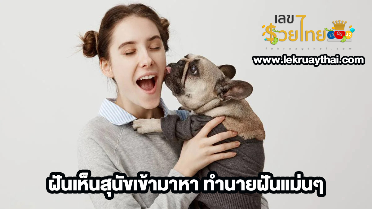 ฝันเห็นสุนัขเข้ามาหา เลขเด็ด ดวงความรัก การเงิน การงาน ทำนายฝันแม่นๆ