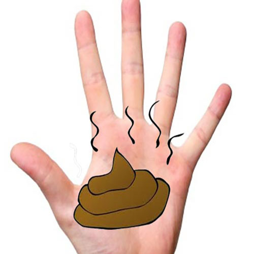 ฝันว่าจับขี้เต็มมือ