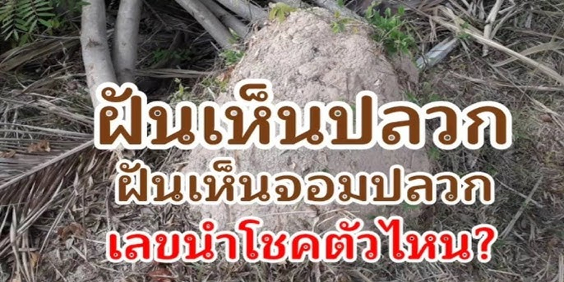ฝันเห็นจอมปลวกใหญ่