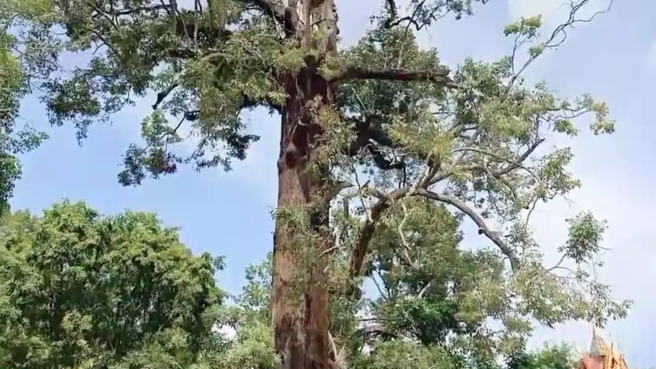 เลขตะเคียนทอง-lekruaythai
