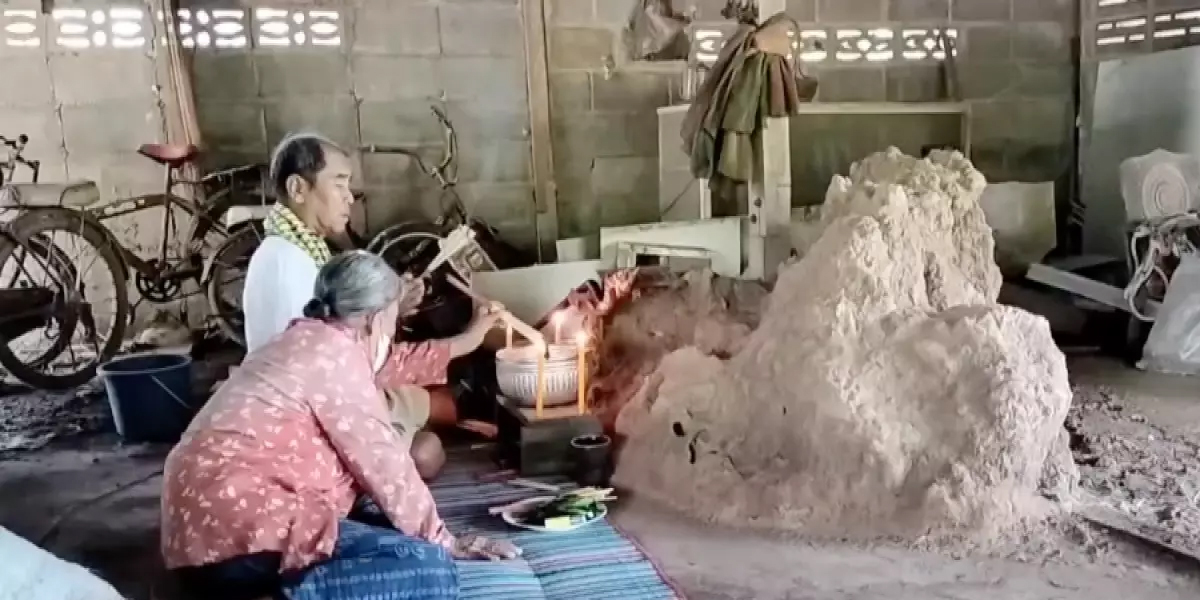 พญาจอมปลวก