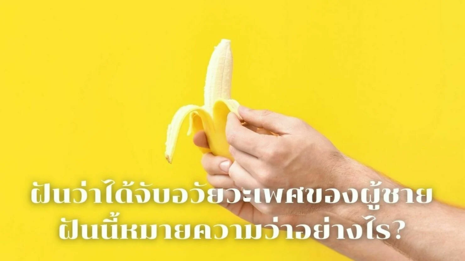 ฝันว่าได้จับอวัยเพศผู้ชาย