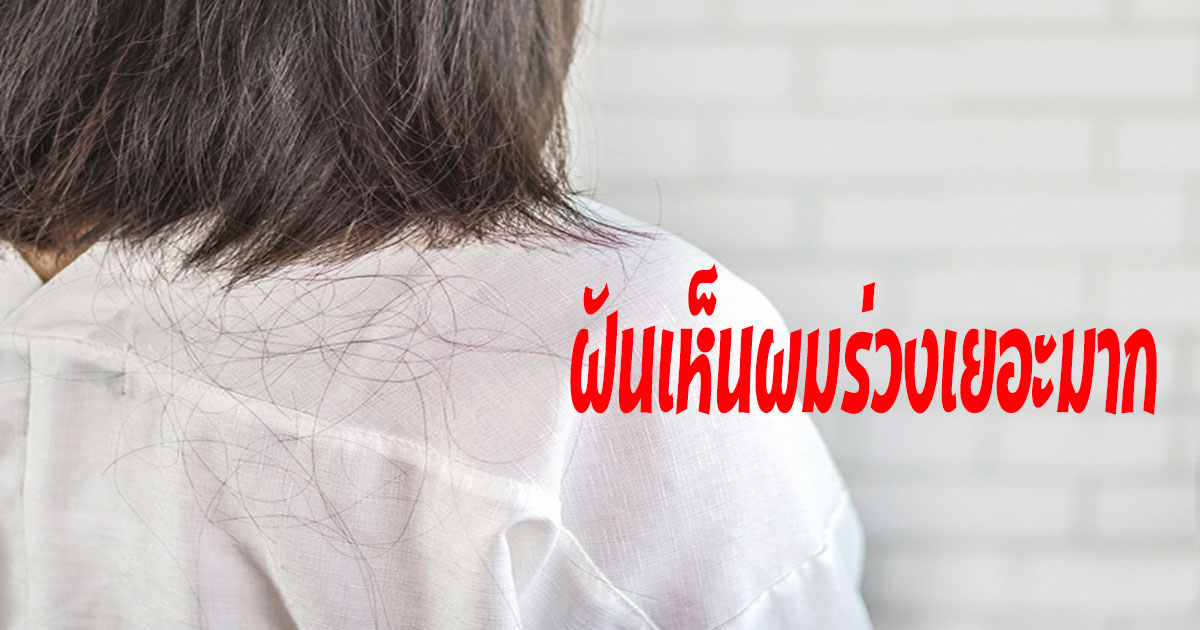 ฝันเห็นผมร่วงเยอะมาก