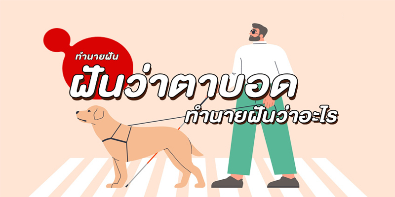 ฝันว่าถูกควักลูกตา พร้อมเลขเด็ด