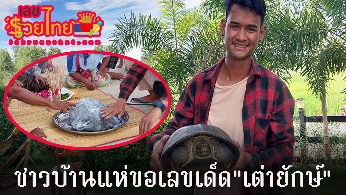 หนุ่มเมืองช้างเจอ “เต่ายักษ์” คลานอยู่บนถน ก่อนอุ้มเข้าบ้าน ชาวบ้านแห่จุดธูป ปะแป้งขอเลขเด็ด